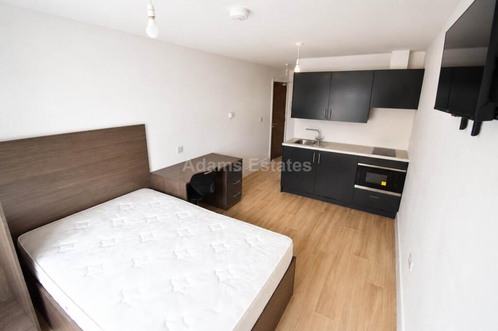 4 bed Studio for rent in Reading. From Adams Estates - Reading