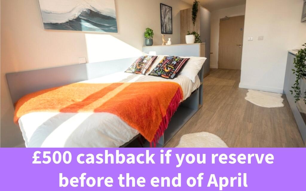 0 bed Studio for rent in Bristol. From Digs - Bristol