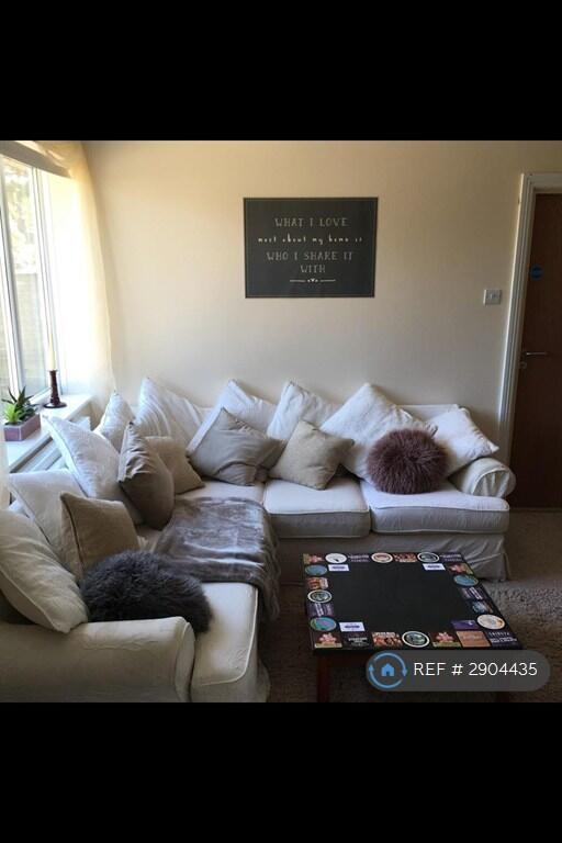 1 bed House Share for rent in Falmouth. From OpenRent 1 bed House Share for rent in Falmouth. From OpenRent