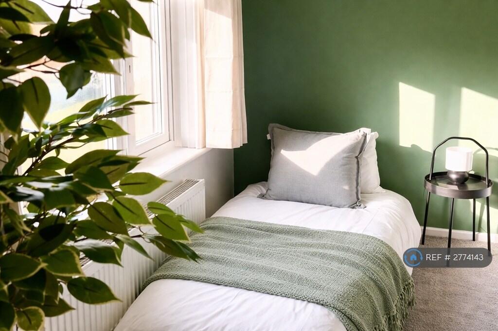 1 bed House Share for rent in Falmouth. From OpenRent 1 bed House Share for rent in Falmouth. From OpenRent