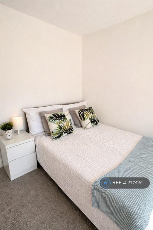 1 bed House Share for rent in Falmouth. From OpenRent 1 bed House Share for rent in Falmouth. From OpenRent